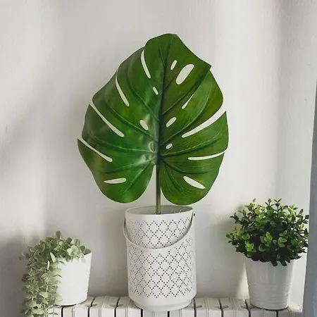 Solution Solari Milan